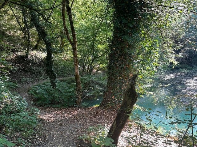горски път близо до река - снимка